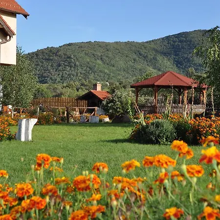 Lunca Sibielului 4*